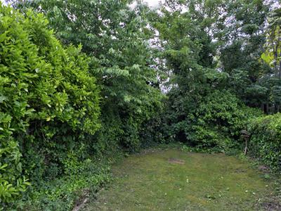 Picture 13